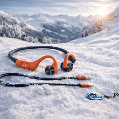 WaveSignal™ Triton